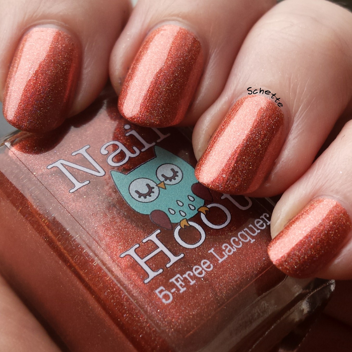 Nail Hoot : Bible Stories Collection