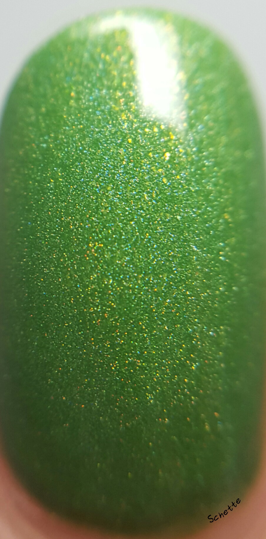 Shleee Polish : Mary Jane,Holland, To serve Mars