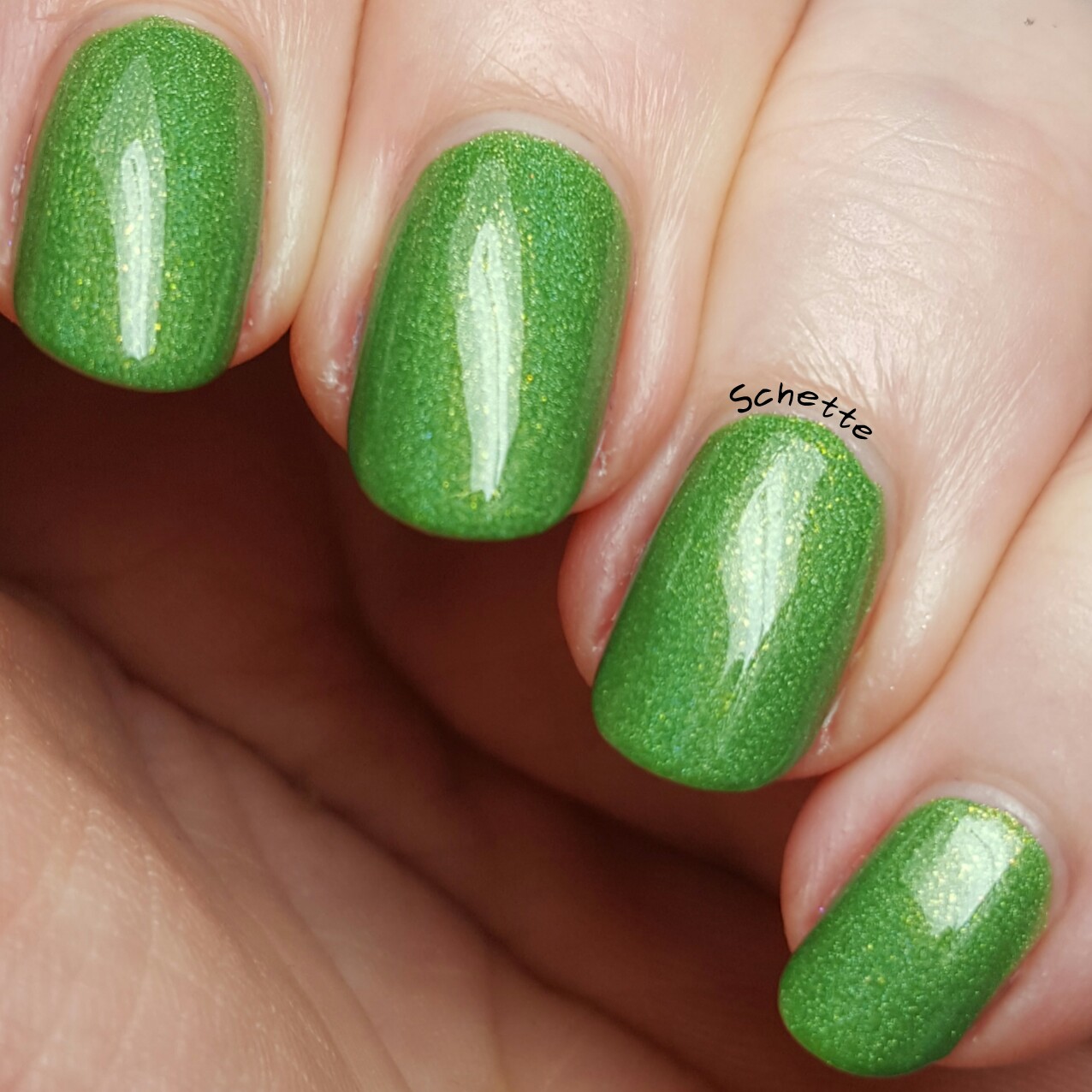 Shleee Polish : Mary Jane,Holland, To serve Mars