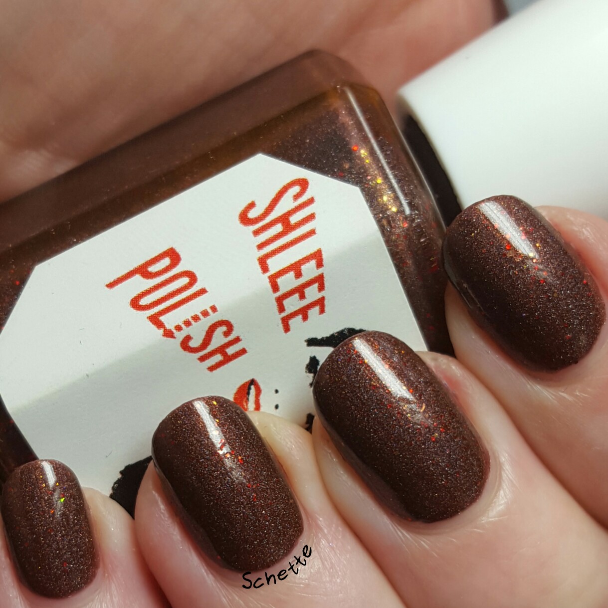 Shleee Polish : Sample 2, the falling king