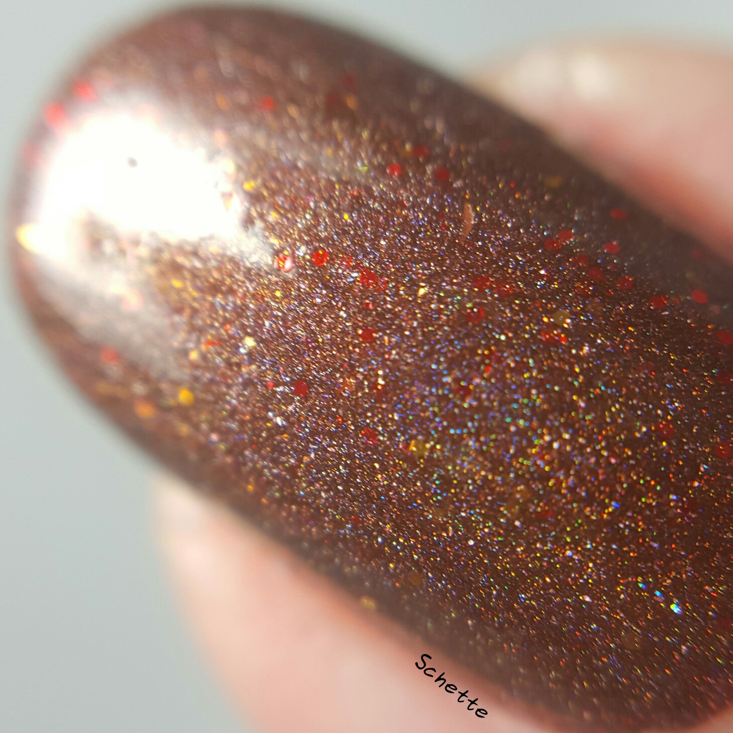 Shleee Polish : Sample 2, the falling king