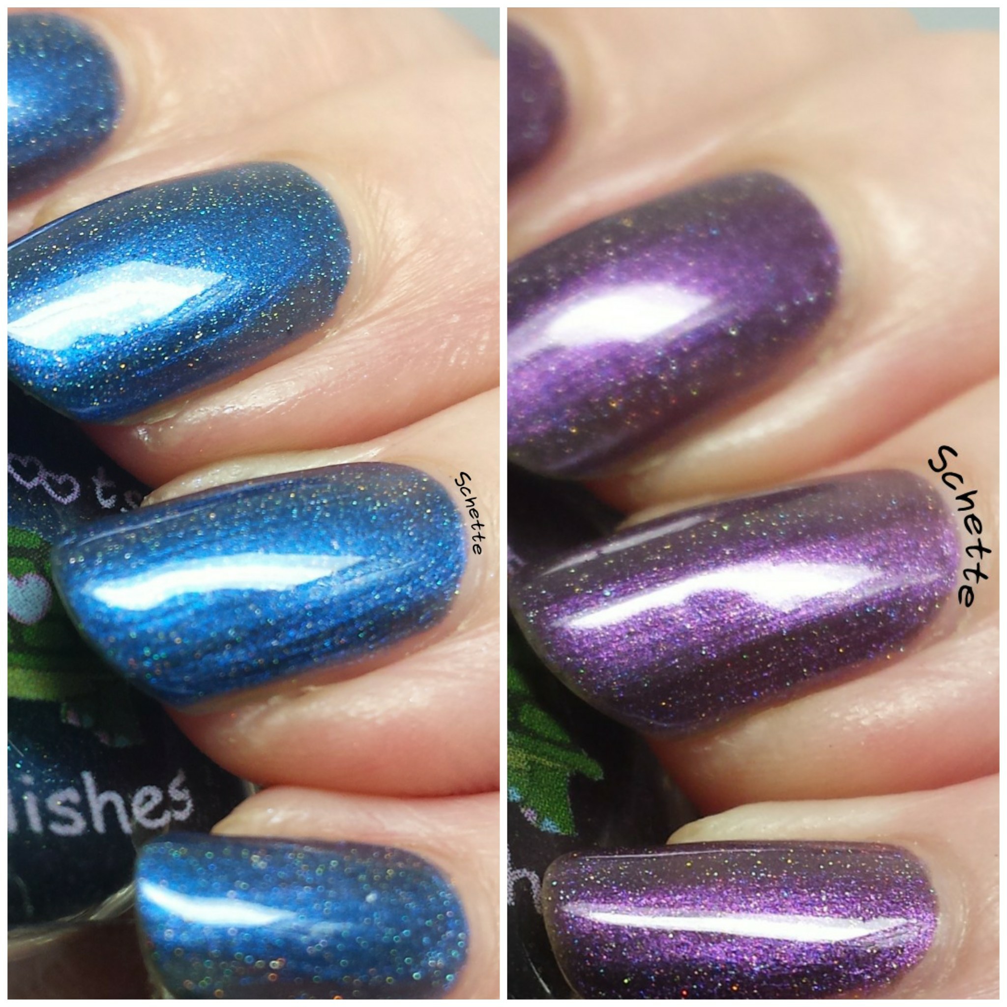 Turtle Tootsie Polish : Full Moon, Holster Sniffer