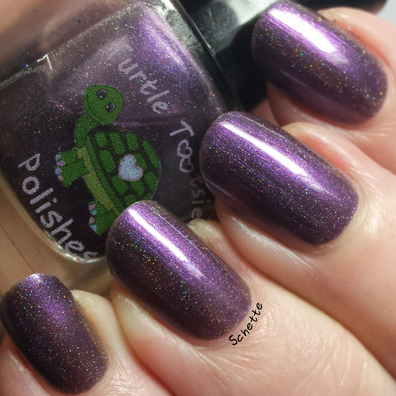 Turtle Tootsie Polish : Full Moon, Holster Sniffer