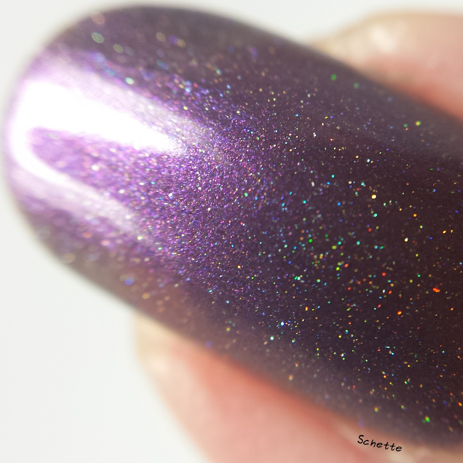 Turtle Tootsie Polish : Full Moon, Holster Sniffer