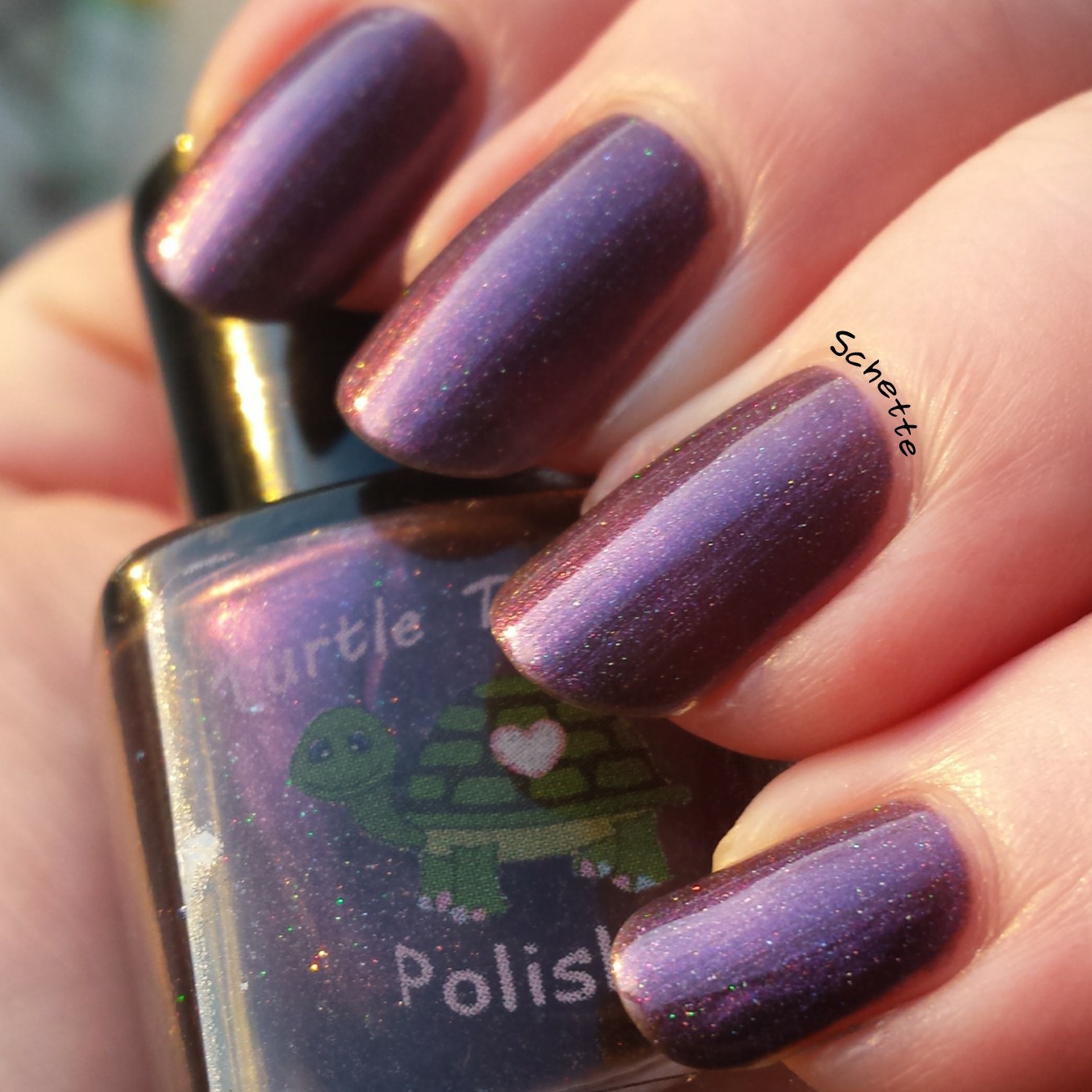 Turtle Tootsie Polish : Full Moon, Holster Sniffer