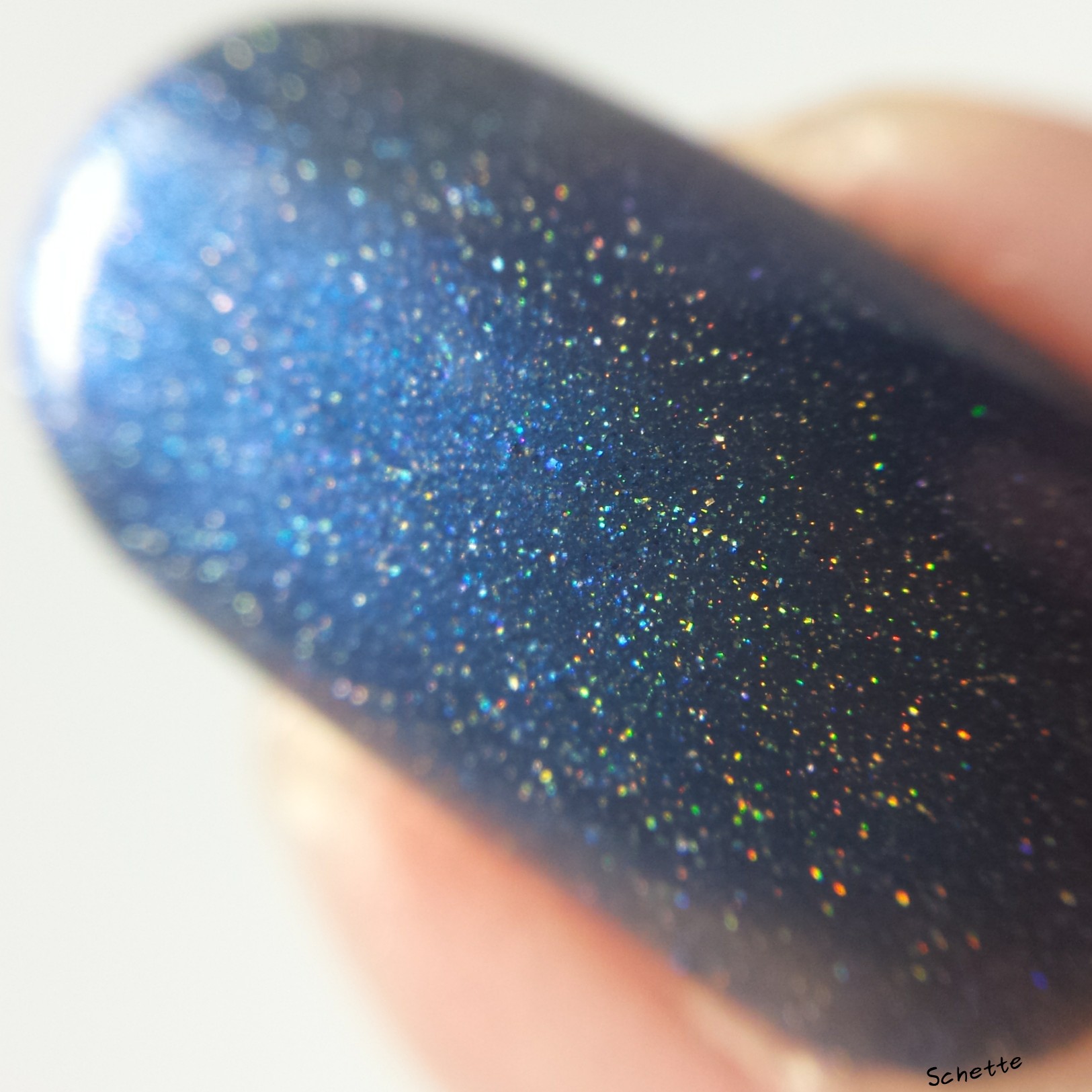 Turtle Tootsie Polish : Full Moon, Holster Sniffer