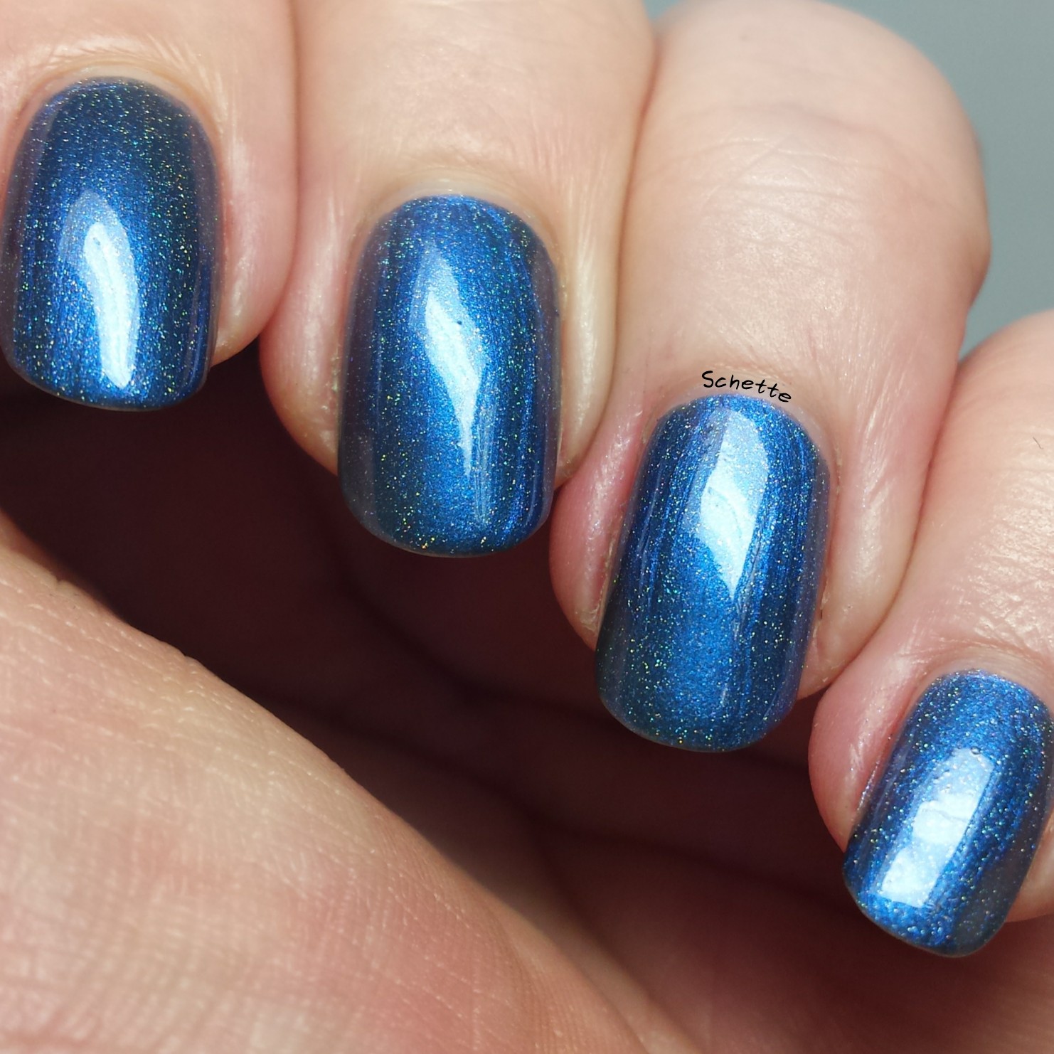 Turtle Tootsie Polish : Full Moon, Holster Sniffer