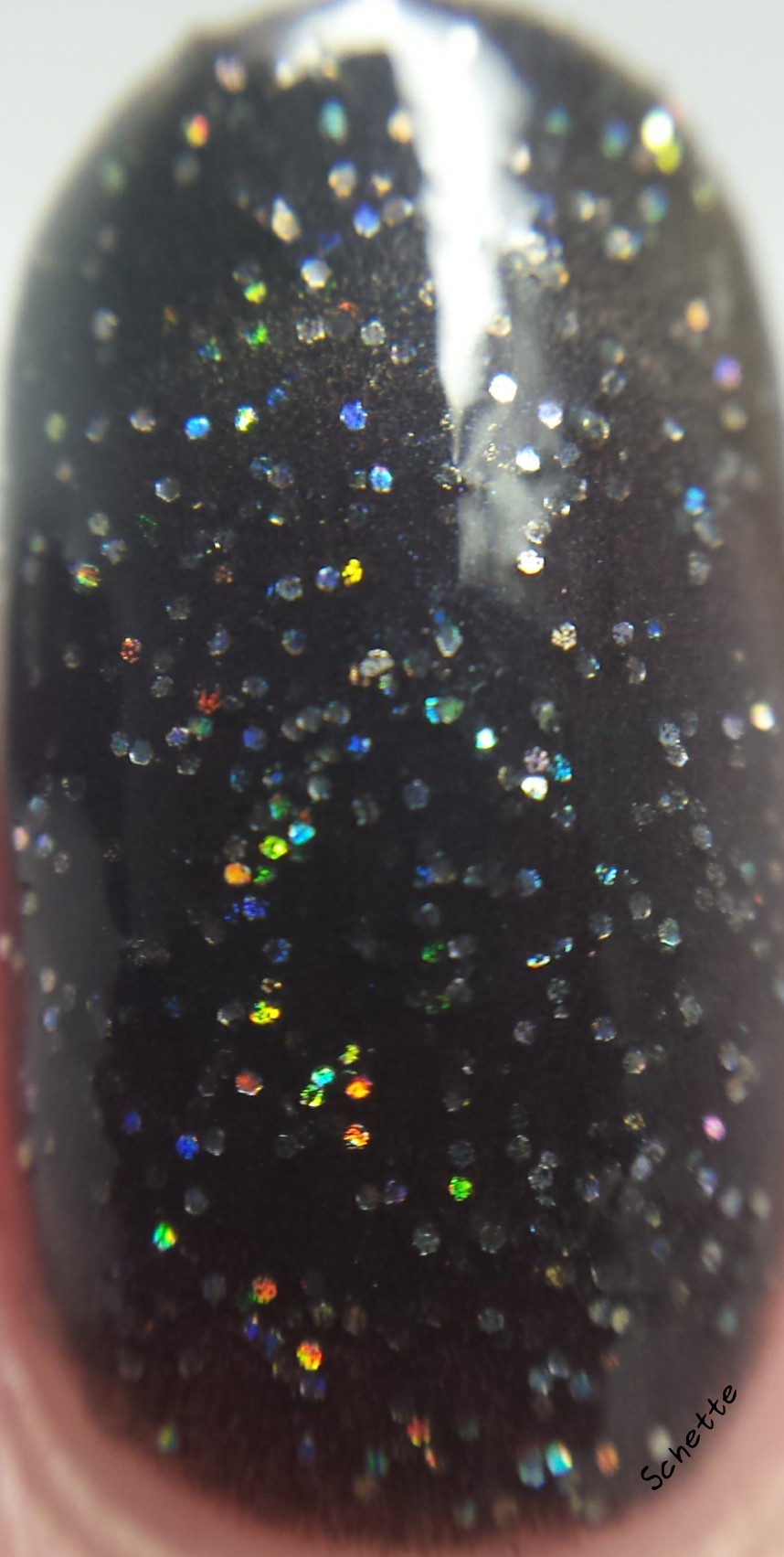 Turtle Tootsie Polish : Glittery Brew, 9 mm