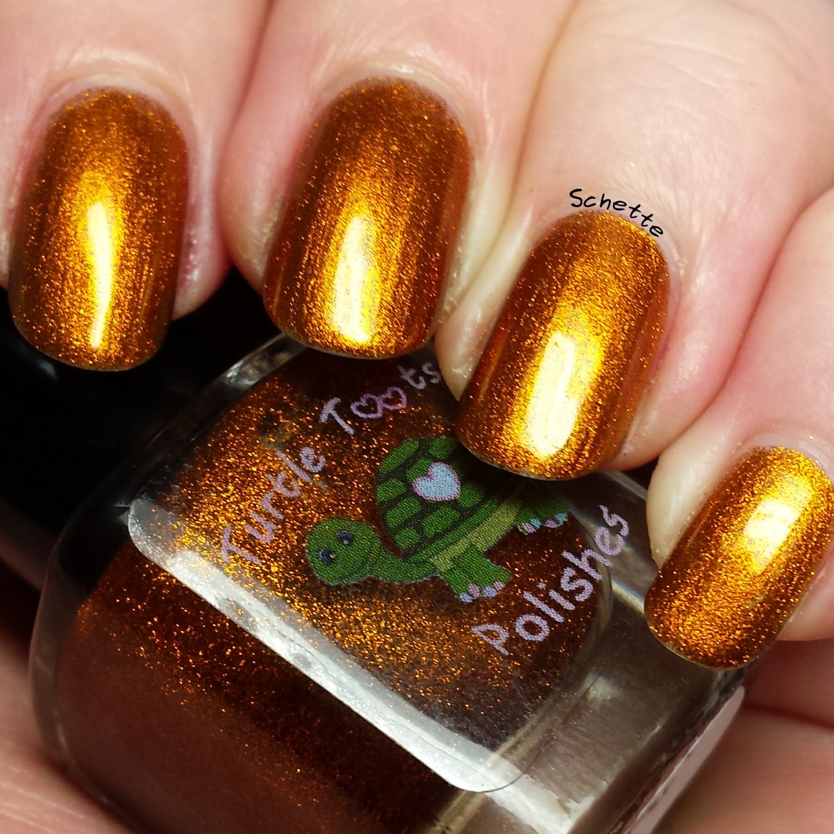 Turtle Tootsie Polish : Smashed Pumpkins, Blood Curdling