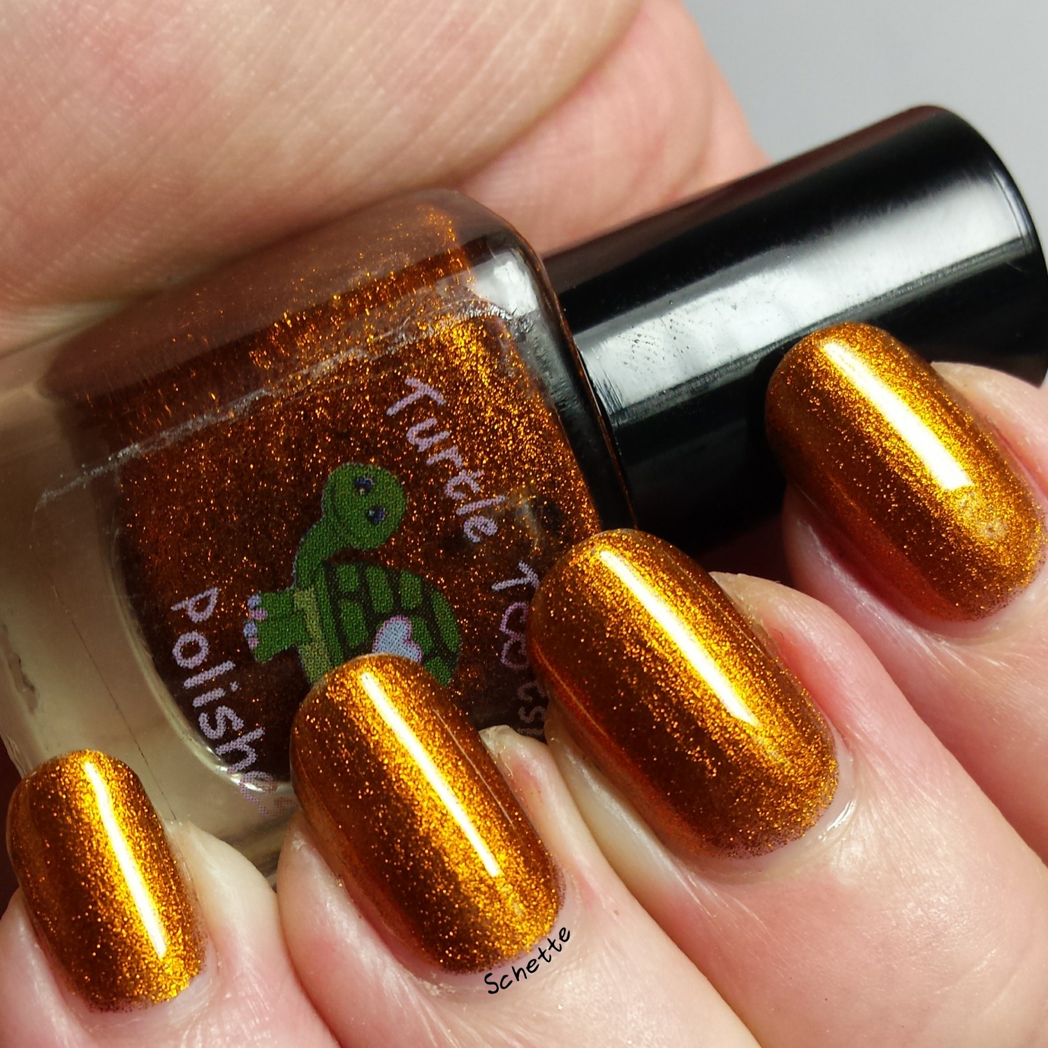 Turtle Tootsie Polish : Smashed Pumpkins, Blood Curdling