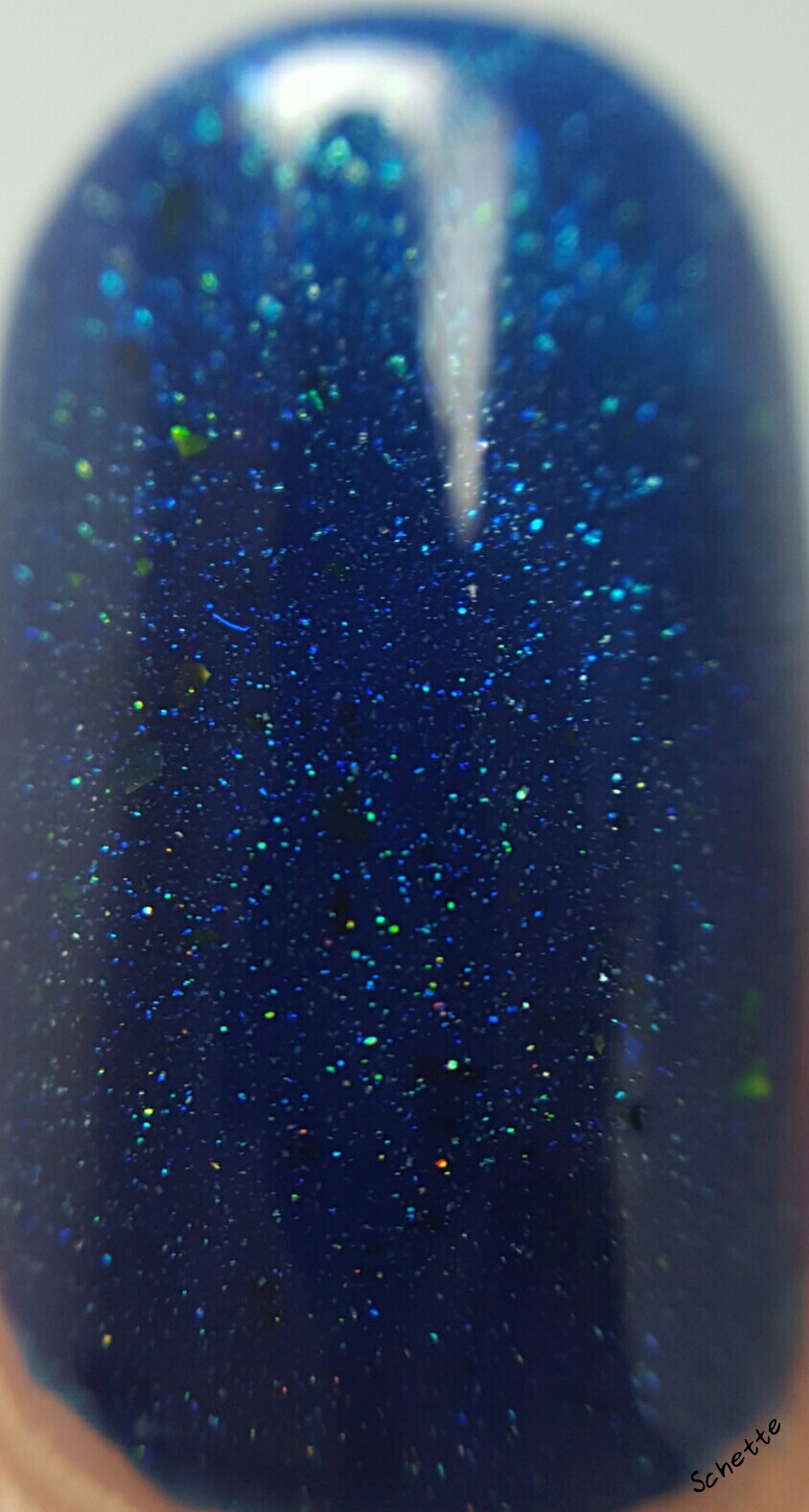 Carpe Noctem Cosmetics - The kingdom