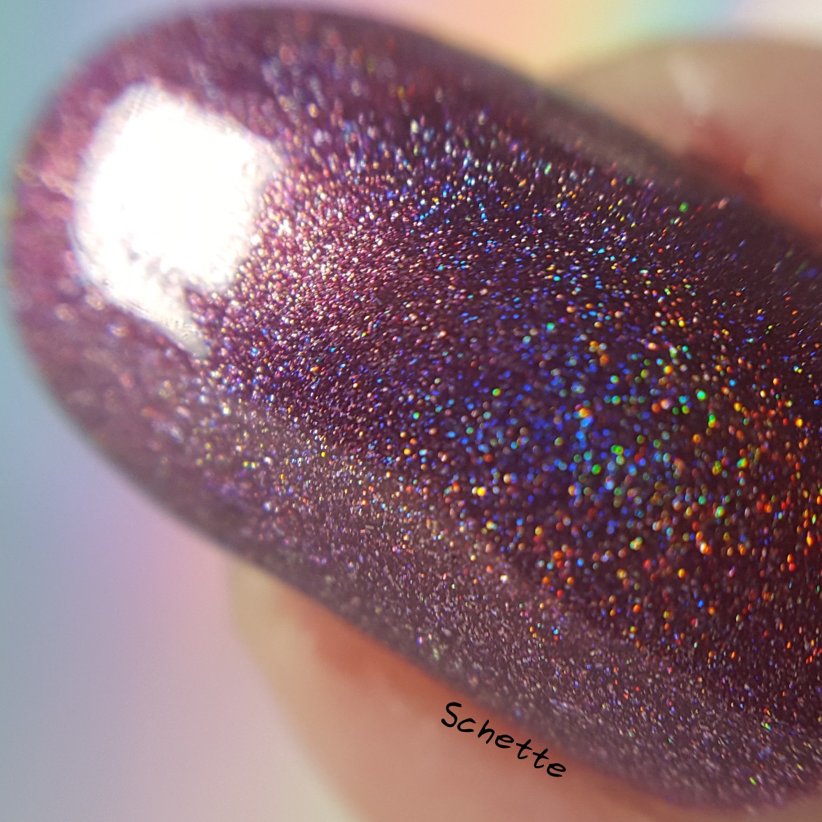 Cirque colors - Boudoir