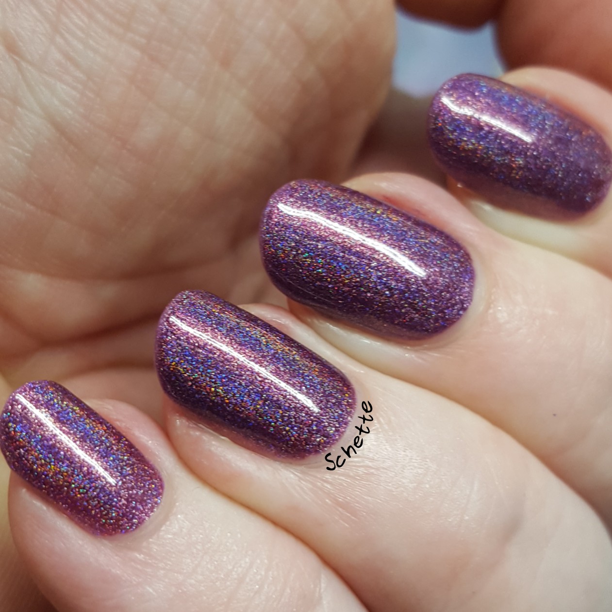 Cirque colors - Boudoir