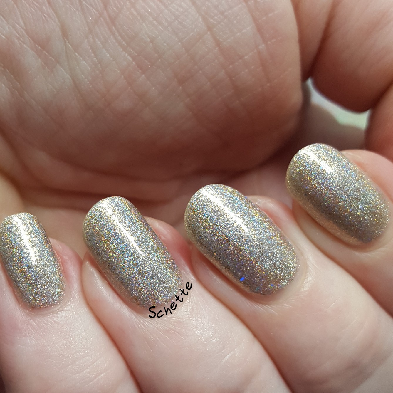 Enchanted Polish - Holiday 2017