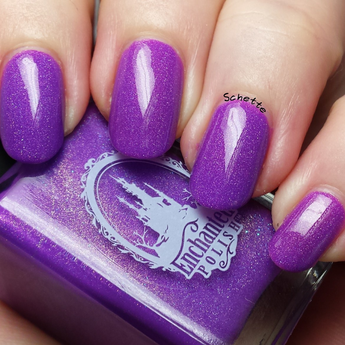 Enchanted Polish - Monsters Ink