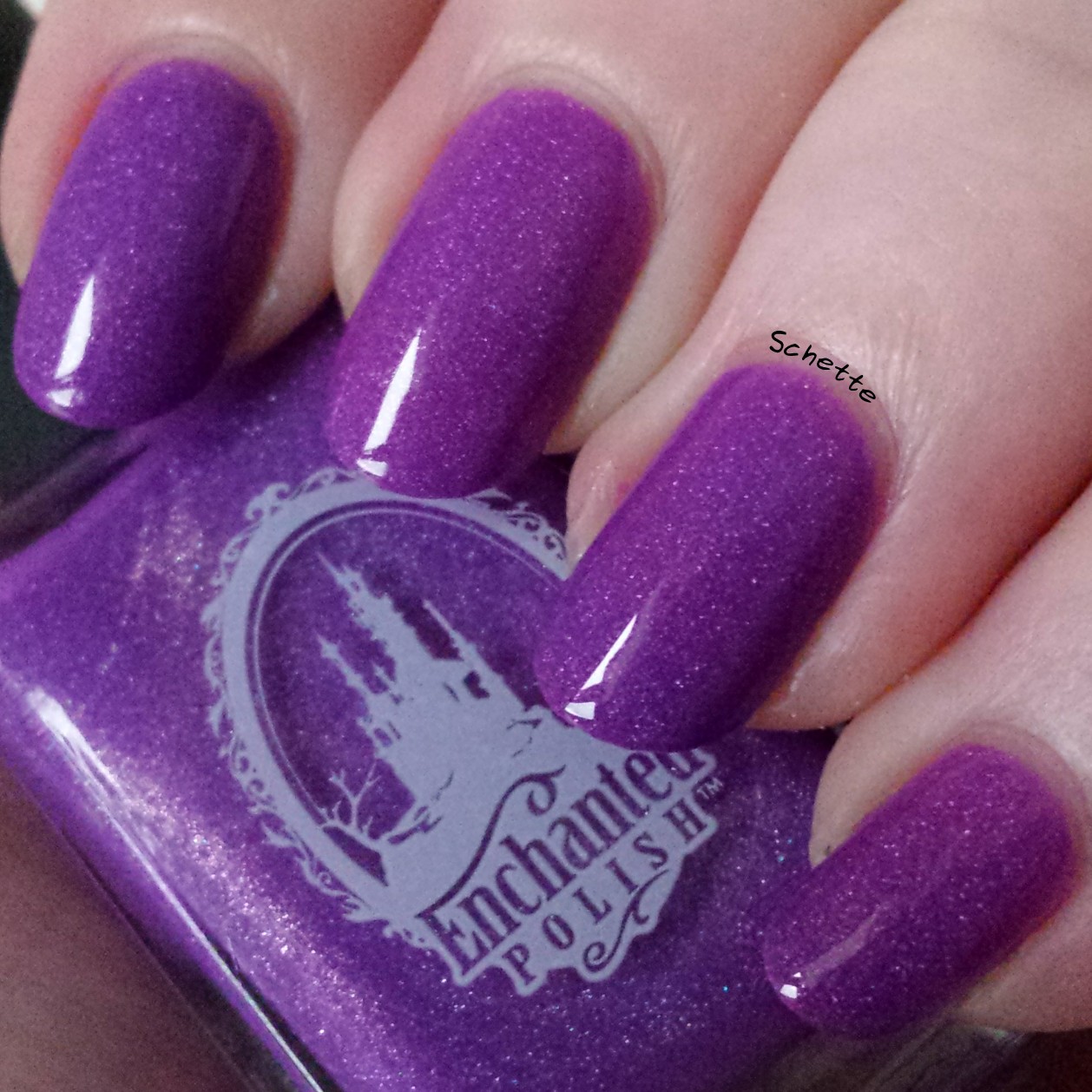 Enchanted Polish - Monsters Ink