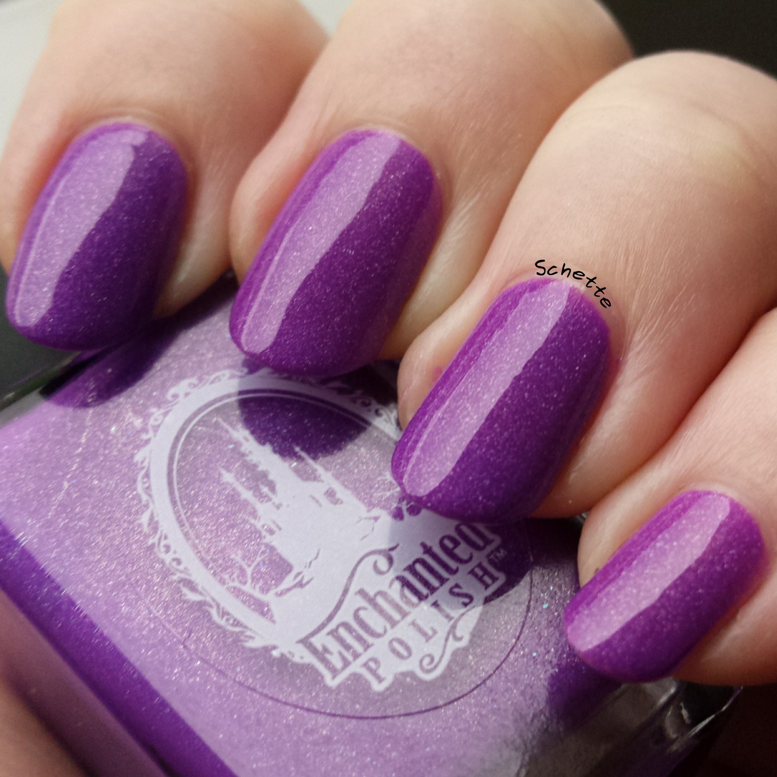 Enchanted Polish - Monsters Ink